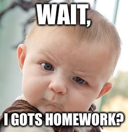 Skeptical Baby | WAIT, I GOTS HOMEWORK? | image tagged in memes,skeptical baby | made w/ Imgflip meme maker