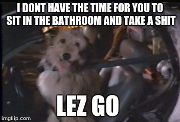 Back to the Future Einstein | I DONT HAVE THE TIME FOR YOU TO SIT IN THE BATHROOM AND TAKE A SHIT; LEZ GO | image tagged in back to the future einstein | made w/ Imgflip meme maker