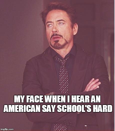 Face You Make Robert Downey Jr | MY FACE WHEN I HEAR AN AMERICAN SAY SCHOOL'S HARD | image tagged in memes,face you make robert downey jr | made w/ Imgflip meme maker