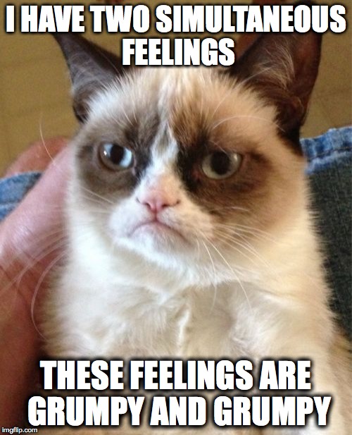Grumpy Cat | I HAVE TWO SIMULTANEOUS FEELINGS; THESE FEELINGS ARE GRUMPY AND GRUMPY | image tagged in memes,grumpy cat | made w/ Imgflip meme maker