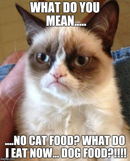 Grumpy Cat | WHAT DO YOU MEAN..... ....NO CAT FOOD? WHAT DO I EAT NOW...
DOG FOOD?!!!! | image tagged in memes,grumpy cat | made w/ Imgflip meme maker