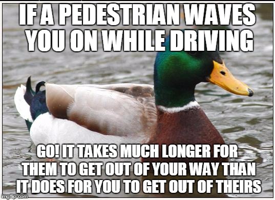 Actual Advice Mallard | IF A PEDESTRIAN WAVES YOU ON WHILE DRIVING; GO! IT TAKES MUCH LONGER FOR THEM TO GET OUT OF YOUR WAY THAN IT DOES FOR YOU TO GET OUT OF THEIRS | image tagged in memes,actual advice mallard,AdviceAnimals | made w/ Imgflip meme maker