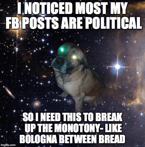 LSD Dowg | I NOTICED MOST MY FB POSTS ARE POLITICAL; SO I NEED THIS TO BREAK UP THE MONOTONY- LIKE BOLOGNA BETWEEN BREAD | image tagged in lsd dowg | made w/ Imgflip meme maker