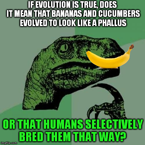 Philosoraptor Meme | IF EVOLUTION IS TRUE, DOES IT MEAN THAT BANANAS AND CUCUMBERS EVOLVED TO LOOK LIKE A PHALLUS; OR THAT HUMANS SELECTIVELY BRED THEM THAT WAY? | image tagged in memes,philosoraptor,evolutionary plotholes | made w/ Imgflip meme maker
