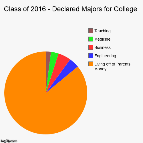 image tagged in funny,pie charts,graduation,high school,college,funny memes | made w/ Imgflip chart maker