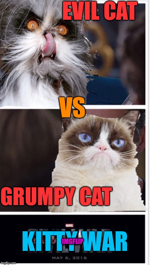 Now this is a real war | EVIL CAT; VS; GRUMPY CAT; KITTY WAR; IMGFLIP | image tagged in grumpy cat,evil cat,marvel civil war,memes,funny | made w/ Imgflip meme maker