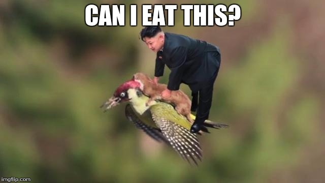 CAN I EAT THIS? | image tagged in kim jong un | made w/ Imgflip meme maker
