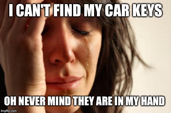 First World Problems Meme | I CAN'T FIND MY CAR KEYS OH NEVER MIND THEY ARE IN MY HAND | image tagged in memes,first world problems | made w/ Imgflip meme maker