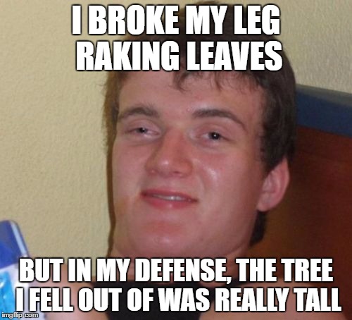 10 Guy Meme | I BROKE MY LEG RAKING LEAVES; BUT IN MY DEFENSE, THE TREE I FELL OUT OF WAS REALLY TALL | image tagged in memes,10 guy | made w/ Imgflip meme maker