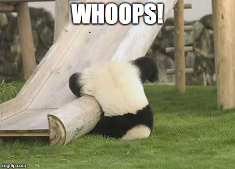 Panda Fail | WHOOPS! | image tagged in panda fail | made w/ Imgflip meme maker