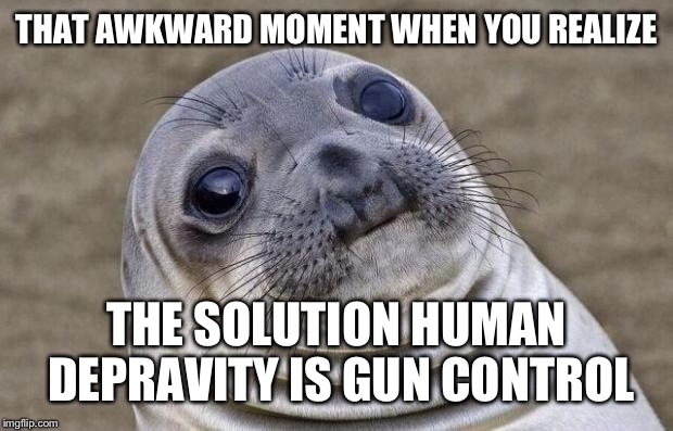 Awkward Moment Sealion Meme | THAT AWKWARD MOMENT WHEN YOU REALIZE THE SOLUTION HUMAN DEPRAVITY IS GUN CONTROL | image tagged in memes,awkward moment sealion | made w/ Imgflip meme maker