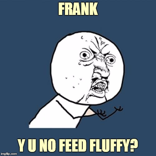 Y U No Meme | FRANK Y U NO FEED FLUFFY? | image tagged in memes,y u no | made w/ Imgflip meme maker