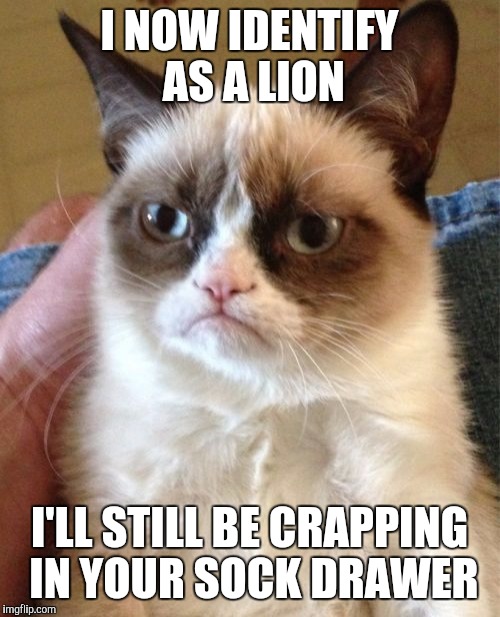 Grumpy Cat | I NOW IDENTIFY AS A LION; I'LL STILL BE CRAPPING IN YOUR SOCK DRAWER | image tagged in memes,grumpy cat | made w/ Imgflip meme maker