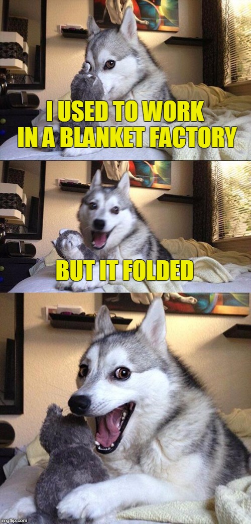 Bad Pun Dog Meme | I USED TO WORK IN A BLANKET FACTORY; BUT IT FOLDED | image tagged in memes,bad pun dog | made w/ Imgflip meme maker