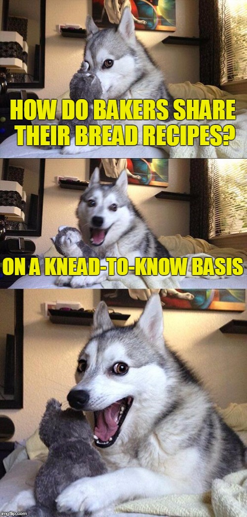 Bad Pun Dog Meme | HOW DO BAKERS SHARE THEIR BREAD RECIPES? ON A KNEAD-TO-KNOW BASIS | image tagged in memes,bad pun dog | made w/ Imgflip meme maker