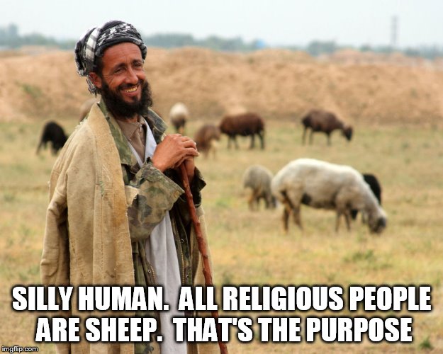 Shepard | SILLY HUMAN.  ALL RELIGIOUS PEOPLE ARE SHEEP.  THAT'S THE PURPOSE | image tagged in shepard | made w/ Imgflip meme maker