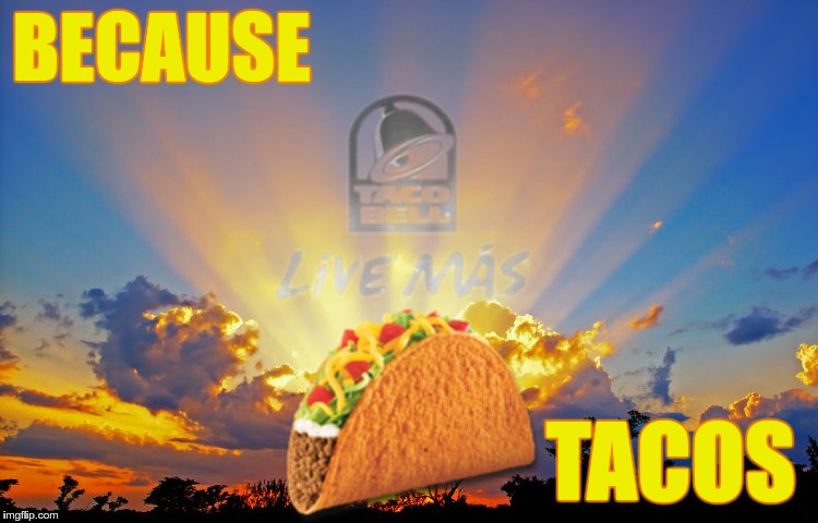 Divine Tacos | BECAUSE TACOS | image tagged in divine tacos | made w/ Imgflip meme maker