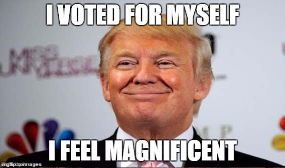 I VOTED FOR MYSELF I FEEL MAGNIFICENT | made w/ Imgflip meme maker