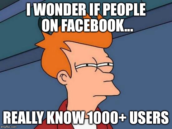 Futurama Fry | I WONDER IF PEOPLE ON FACEBOOK... REALLY KNOW 1000+ USERS | image tagged in memes,futurama fry | made w/ Imgflip meme maker