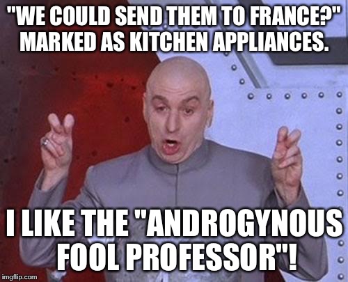 Dr Evil Laser Meme | "WE COULD SEND THEM TO FRANCE?" MARKED AS KITCHEN APPLIANCES. I LIKE THE "ANDROGYNOUS FOOL PROFESSOR"! | image tagged in memes,dr evil laser | made w/ Imgflip meme maker