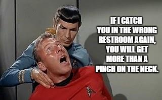 SpockPinchedThem | IF I CATCH YOU IN THE WRONG RESTROOM AGAIN, YOU WILL GET MORE THAN A PINCH ON THE NECK. | image tagged in spockpinchedthem | made w/ Imgflip meme maker