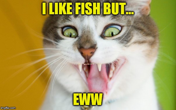I LIKE FISH BUT... EWW | made w/ Imgflip meme maker