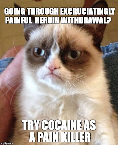 Grumpy Cat Meme | GOING THROUGH EXCRUCIATINGLY PAINFUL  HEROIN WITHDRAWAL? TRY COCAINE AS A PAIN KILLER | image tagged in memes,grumpy cat | made w/ Imgflip meme maker
