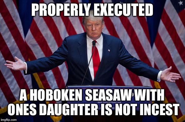 Donald Trump | PROPERLY EXECUTED; A HOBOKEN SEASAW WITH ONES DAUGHTER IS NOT INCEST | image tagged in donald trump | made w/ Imgflip meme maker