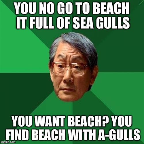 High Expectations Asian Father Meme | YOU NO GO TO BEACH IT FULL OF SEA GULLS; YOU WANT BEACH? YOU FIND BEACH WITH A-GULLS | image tagged in memes,high expectations asian father | made w/ Imgflip meme maker