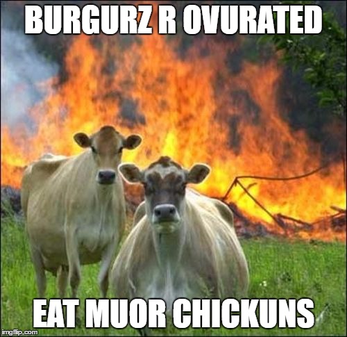 Evil Cows | BURGURZ R OVURATED; EAT MUOR CHICKUNS | image tagged in memes,evil cows | made w/ Imgflip meme maker
