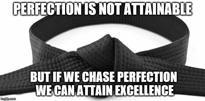 Perfection | PERFECTION IS NOT ATTAINABLE; BUT IF WE CHASE PERFECTION WE CAN ATTAIN EXCELLENCE | image tagged in inspirational | made w/ Imgflip meme maker