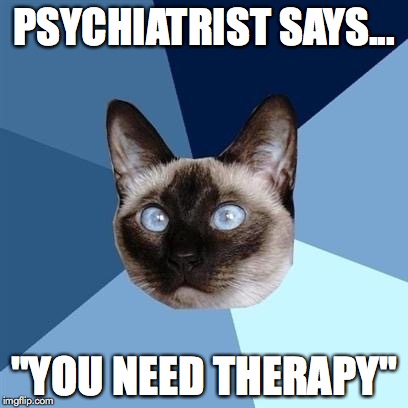 Chronic illness cat | PSYCHIATRIST SAYS... "YOU NEED THERAPY" | image tagged in chronic illness cat | made w/ Imgflip meme maker