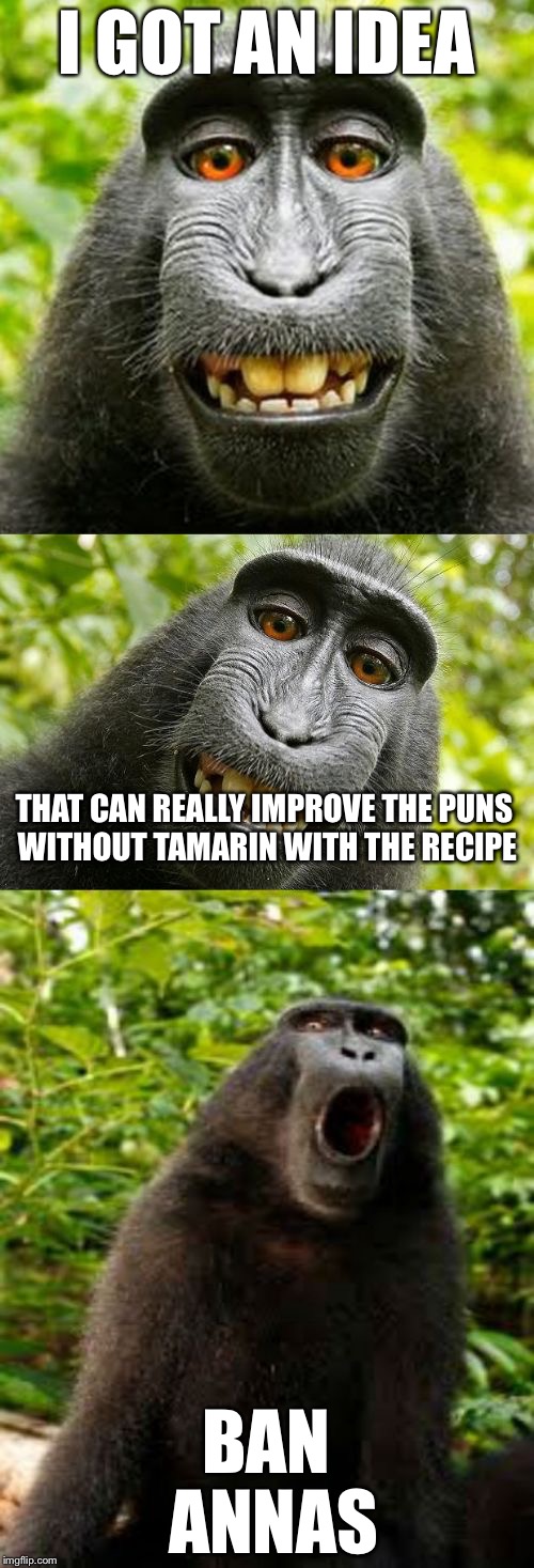 When There's Too Much Repundency | I GOT AN IDEA; THAT CAN REALLY IMPROVE THE PUNS WITHOUT TAMARIN WITH THE RECIPE; BAN ANNAS | image tagged in bad pun monkey,memes,funny,animals,funny animals | made w/ Imgflip meme maker