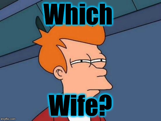 Futurama Fry Meme | Which Wife? | image tagged in memes,futurama fry | made w/ Imgflip meme maker