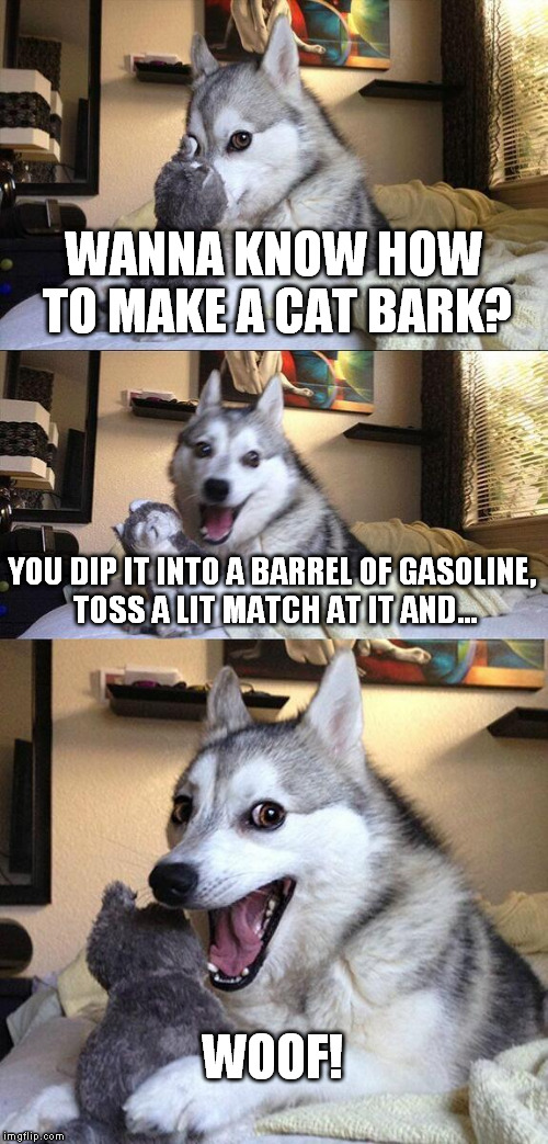 Bad Pun Dog Meme | WANNA KNOW HOW TO MAKE A CAT BARK? YOU DIP IT INTO A BARREL OF GASOLINE, TOSS A LIT MATCH AT IT AND... WOOF! | image tagged in memes,bad pun dog | made w/ Imgflip meme maker