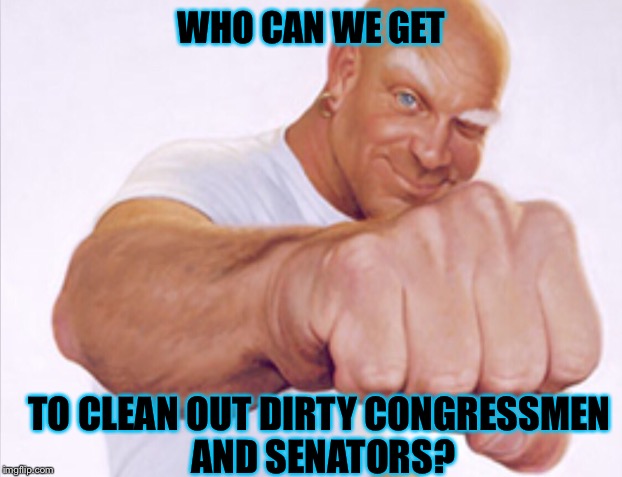 Mr Clean |  WHO CAN WE GET; TO CLEAN OUT DIRTY CONGRESSMEN AND SENATORS? | image tagged in mr clean | made w/ Imgflip meme maker