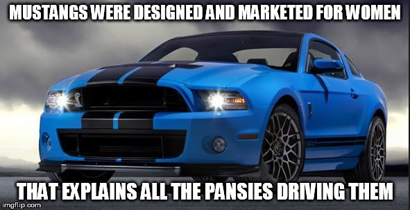 Mustang | MUSTANGS WERE DESIGNED AND MARKETED FOR WOMEN; THAT EXPLAINS ALL THE PANSIES DRIVING THEM | image tagged in mustang | made w/ Imgflip meme maker