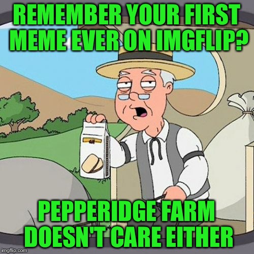 Comment your first meme down! | REMEMBER YOUR FIRST MEME EVER ON IMGFLIP? PEPPERIDGE FARM DOESN'T CARE EITHER | image tagged in memes,pepperidge farm remembers | made w/ Imgflip meme maker