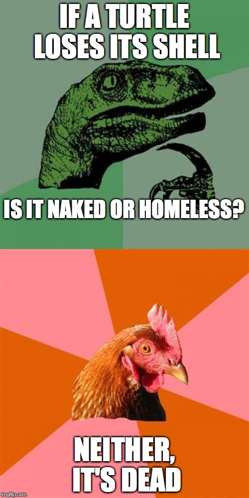 Never thought of that didya | IF A TURTLE LOSES ITS SHELL; IS IT NAKED OR HOMELESS? NEITHER, IT'S DEAD | image tagged in philosoraptor,anti joke chicken,turtle | made w/ Imgflip meme maker