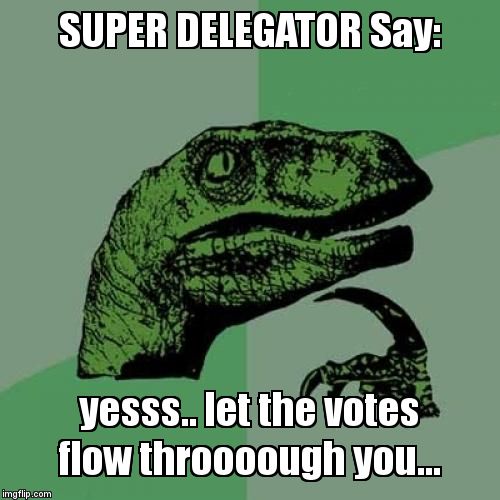 Philosoraptor Meme | SUPER DELEGATOR Say:; yesss.. let the votes flow throooough you... | image tagged in memes,philosoraptor | made w/ Imgflip meme maker