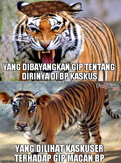 YANG DIBAYANGKAN GIP TENTANG DIRINYA DI BP KASKUS; YANG DILIHAT KASKUSER TERHADAP GIP MACAN BP | made w/ Imgflip meme maker