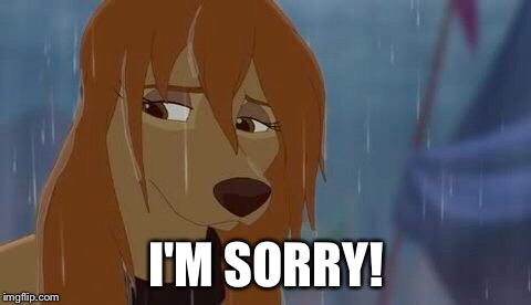 I'm Sorry! | I'M SORRY! | image tagged in dixie sad,memes,disney,the fox and the hound 2,reba mcentire,dog | made w/ Imgflip meme maker