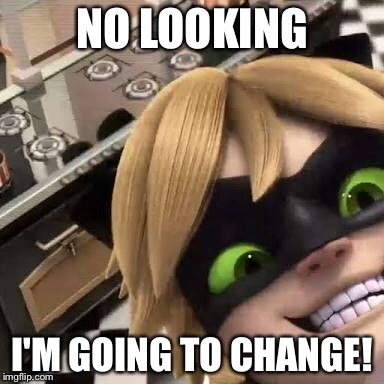 Sneaky Chat Noir | NO LOOKING; I'M GOING TO CHANGE! | image tagged in miraculous ladybug | made w/ Imgflip meme maker