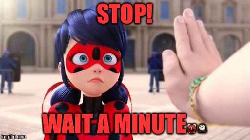 Stop, Ladybug! | STOP! WAIT A MINUTE⏰🕰 | image tagged in miraculous ladybug | made w/ Imgflip meme maker