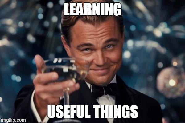 Leonardo Dicaprio Cheers Meme | LEARNING USEFUL THINGS | image tagged in memes,leonardo dicaprio cheers | made w/ Imgflip meme maker