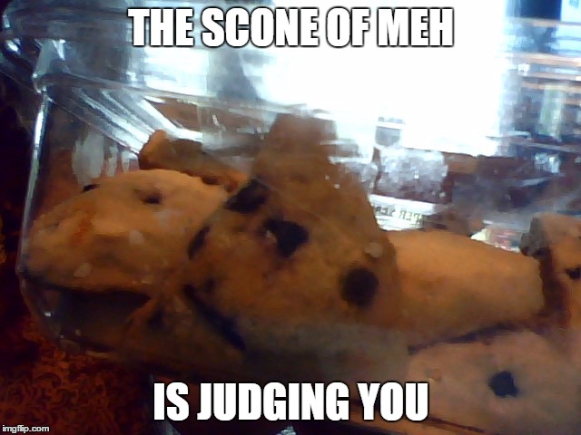 Scone of Meh | THE SCONE OF MEH; IS JUDGING YOU | image tagged in judging you,food faces | made w/ Imgflip meme maker