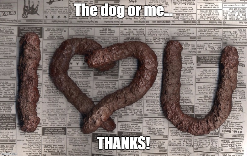 The dog or me... THANKS! | made w/ Imgflip meme maker