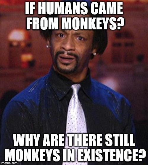 Katt Williams 1 | IF HUMANS CAME FROM MONKEYS? WHY ARE THERE STILL MONKEYS IN EXISTENCE? | image tagged in katt williams 1 | made w/ Imgflip meme maker