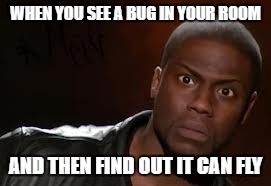 Not my idea :3(*Has thug glasses*) | WHEN YOU SEE A BUG IN YOUR ROOM; AND THEN FIND OUT IT CAN FLY | image tagged in memes,kevin hart the hell,bug,room,fly | made w/ Imgflip meme maker