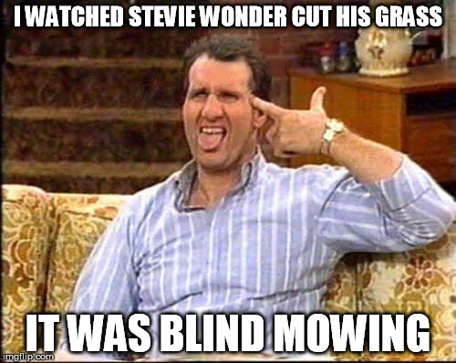 Bundy For President | I WATCHED STEVIE WONDER CUT HIS GRASS; IT WAS BLIND MOWING | image tagged in pun | made w/ Imgflip meme maker